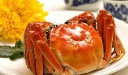 娱乐吃瓜君大闸蟹,大闸蟹背后的故事与魅力