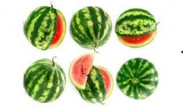 娱乐吃瓜固定模版如何做,揭秘明星幕后故事，带你领略明星们的真实生活