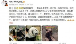 吃瓜娱乐圈博主是谁啊图片,吃瓜娱乐圈博主的真实身份大猜想