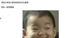 吃瓜娱乐圈真的假的,真假难辨，揭秘幕后真相