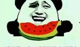 娱乐吃瓜有趣名字怎么取,趣味名字大揭秘