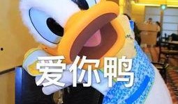 娱乐鸭娱乐吃瓜君,揭秘娱乐圈最新热点事件