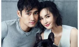 娱乐圈吃瓜爆料大美