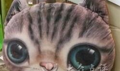 娱乐吃瓜酱胖猫,揭秘娱乐圈那些不为人知的幕后故事