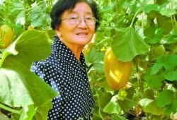 娱乐吃瓜酱老人养凤凰,揭秘娱乐界老人与神秘凤凰的传奇故事