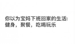 娱乐吃瓜酱奋发上进,奋发上进，开启娱乐圈新篇章