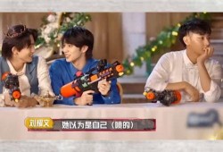 娱乐圈吃瓜搞笑综艺,搞笑综艺背后的吃瓜故事