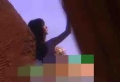 娱乐圈吃瓜爆料的小说小香猪推荐,小香猪带你揭秘幕后真相