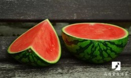 娱乐吃瓜音效怎么弄的,揭秘娱乐吃瓜音效的制作技巧