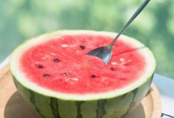 娱乐吃瓜酱广东,揭秘广东娱乐圈的幕后故事