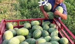 吃娱乐的瓜,揭秘明星幕后故事