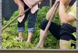 吃瓜群众的娱乐八卦,明星秘闻大揭秘